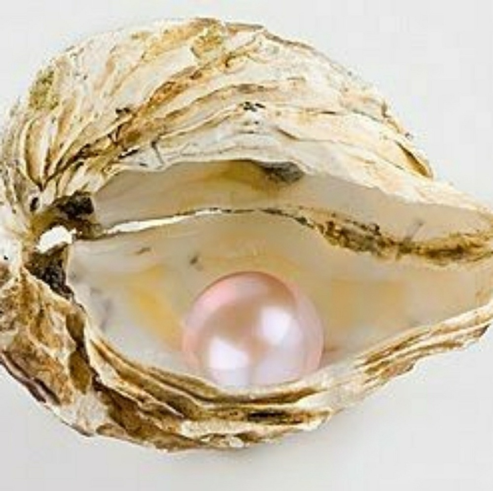 Meet your Posher, Karina